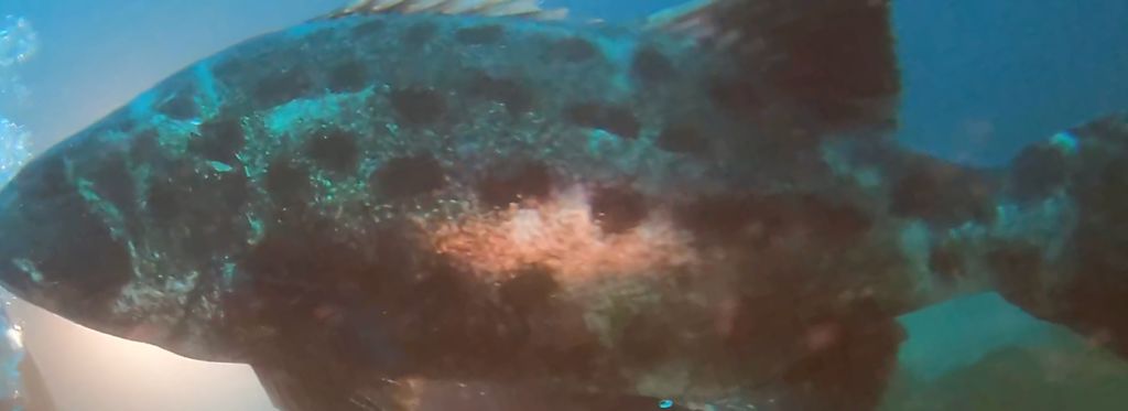 b6be489a-e1d8-4673-8fa7-8f7b2f50d525