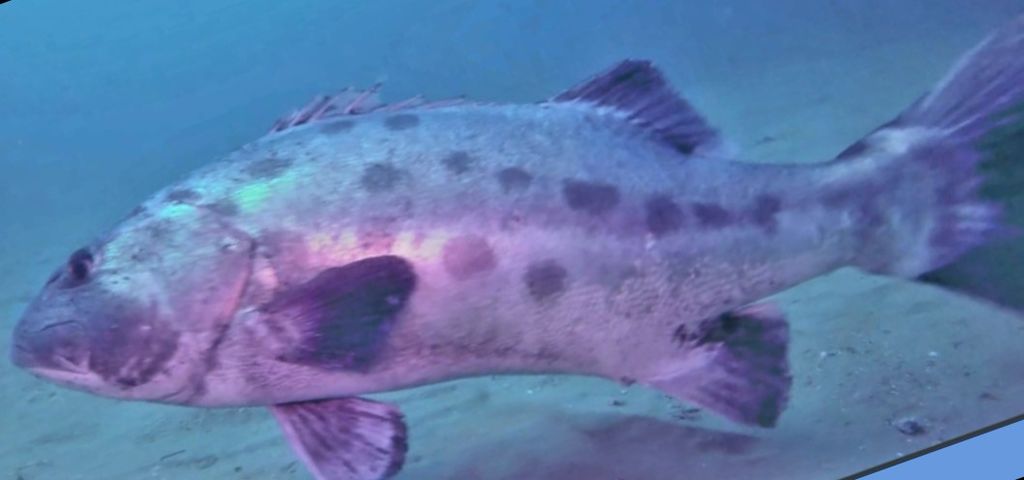 09413713-2df3-47b4-99f4-bc2407a31535