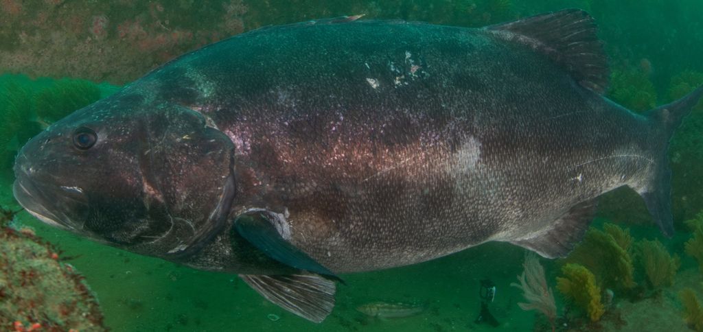 ea7e4c3d-4baf-411e-9454-d1ea0d707a86