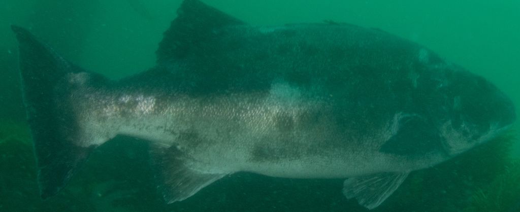 ea7e4c3d-4baf-411e-9454-d1ea0d707a86