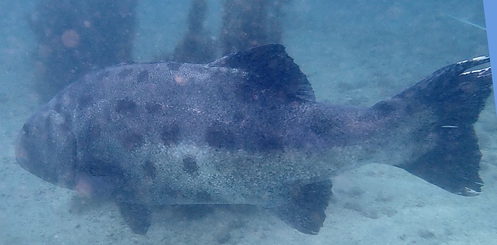 dae82506-d762-461e-b5e2-6e01f667ebe5