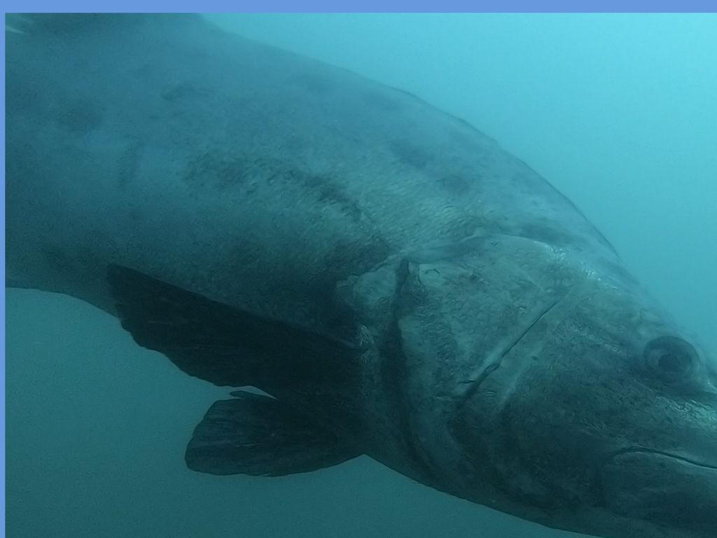 2c7ecab0-0eb3-4d4d-97ff-d574261487da