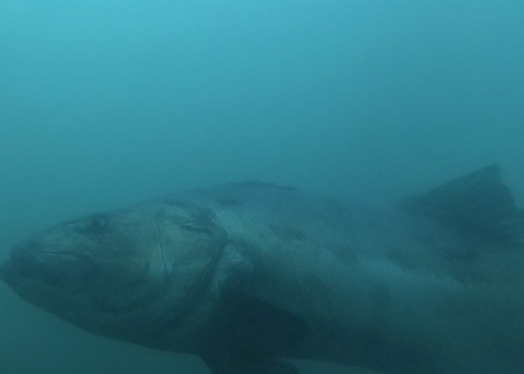 2c7ecab0-0eb3-4d4d-97ff-d574261487da