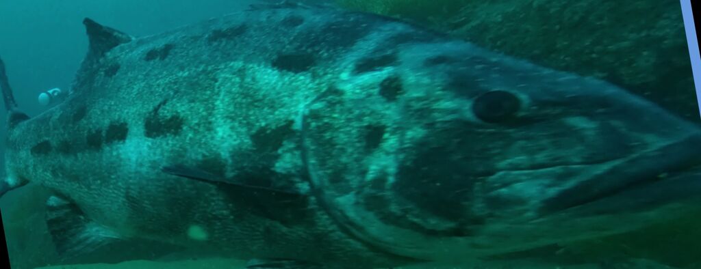 1b410f89-7941-4e0f-a761-ece07b7da9d8