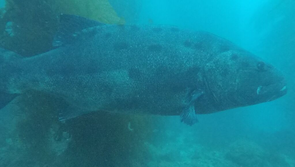 d166731a-96b9-41df-916c-8837cc55c94d