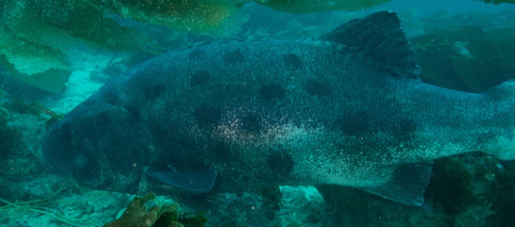 3b95c298-e2e9-4acc-a075-edc9c1b881ac