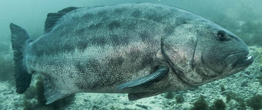 f3e01516-c8bf-44c2-a1b7-060e7f79e342