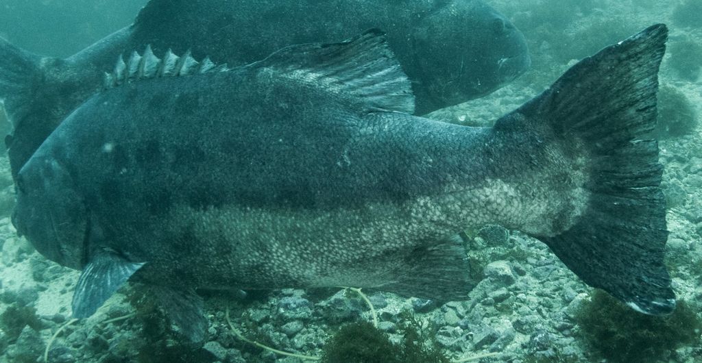 f3e01516-c8bf-44c2-a1b7-060e7f79e342