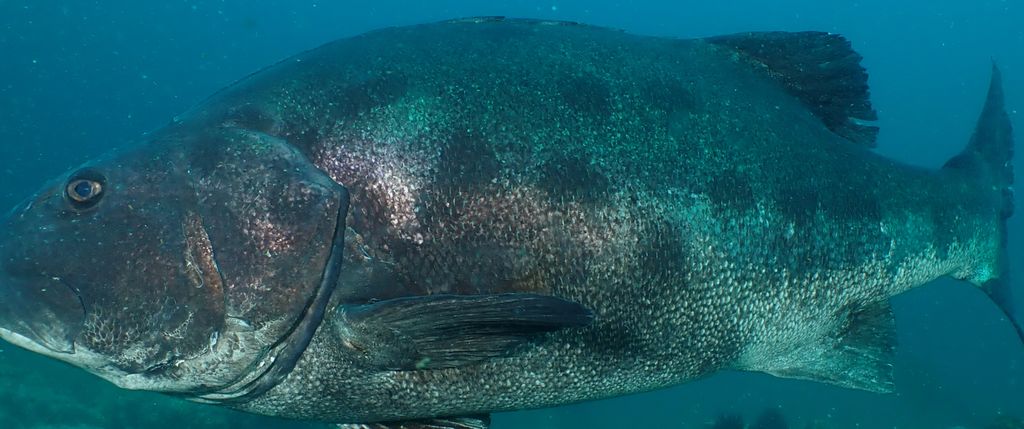 1b849902-e30e-45e3-a372-e7b1323de597