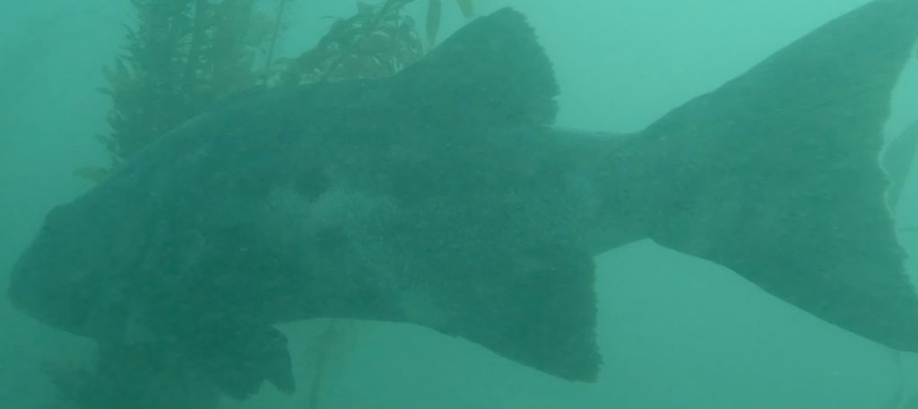 c870e37b-d963-487d-b788-770942442904