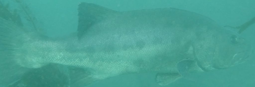 c870e37b-d963-487d-b788-770942442904