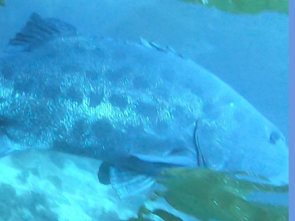 fc40ebb3-6e75-4b0d-a7f3-4a005f29ee2f