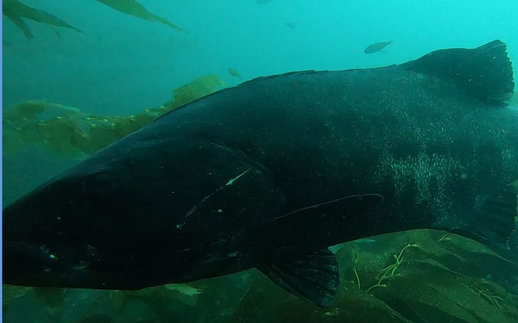 fc40ebb3-6e75-4b0d-a7f3-4a005f29ee2f