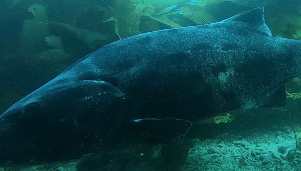 47b2d3f9-7eb8-4f8d-ba88-b6a78fbe2190