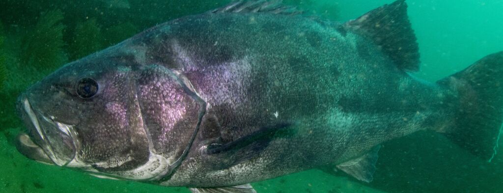 817a3439-20d1-469c-8de8-5aa0848c87a0