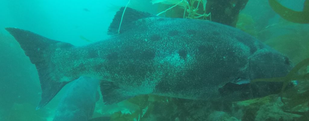 3bb923b8-da0d-46a5-b2c5-decb6210027b