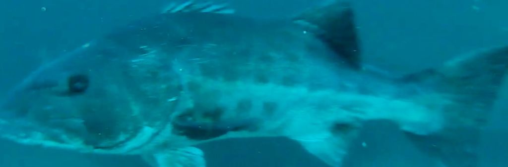 103f7b6e-7554-4da9-a6de-fb422e576055