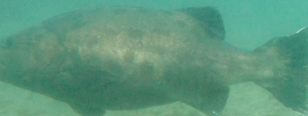 4a750319-87b5-49fb-9430-8946a7d59a13