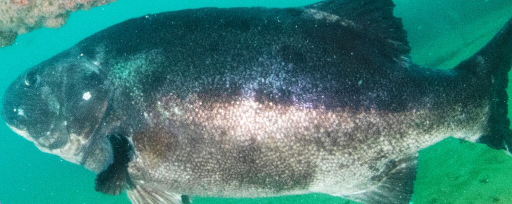 4f2b984b-7303-458e-80d0-6bccab2b1517