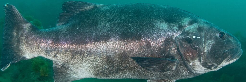 4f2b984b-7303-458e-80d0-6bccab2b1517