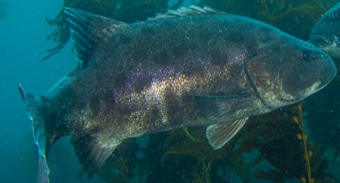 8ab395ed-bacd-4599-aad9-7bb4e2652e26