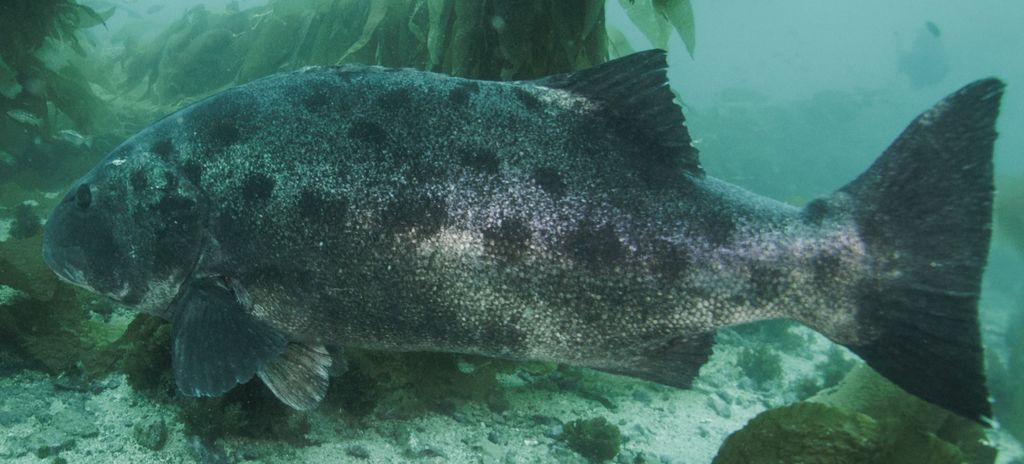 47649a6a-0ab8-4302-96e7-68ce6066902c