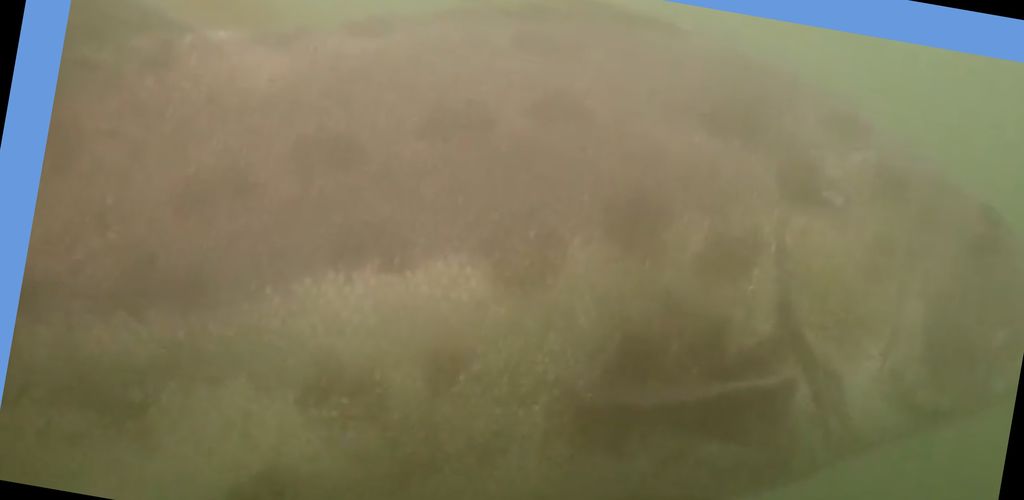 92072ffd-d885-4e68-a61a-79477556b154