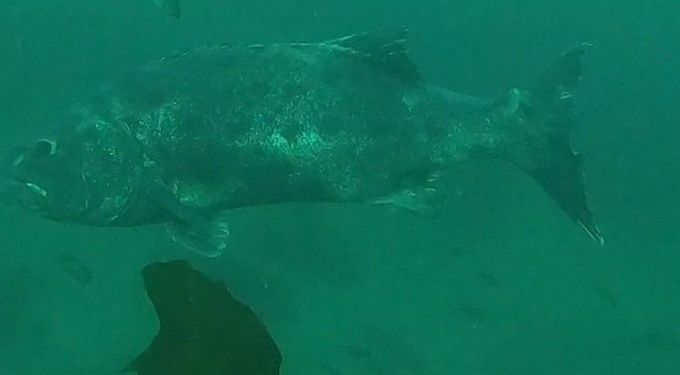 4581a66d-d18e-4478-a833-6dfd40daa4c5