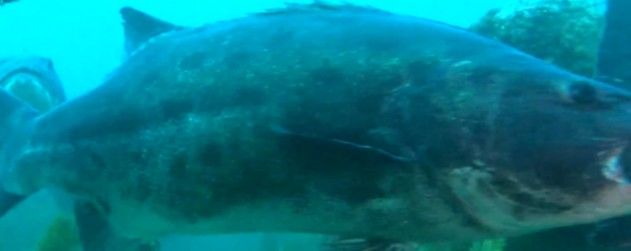 2ef970ea-d8e3-44ed-896c-67530d009589