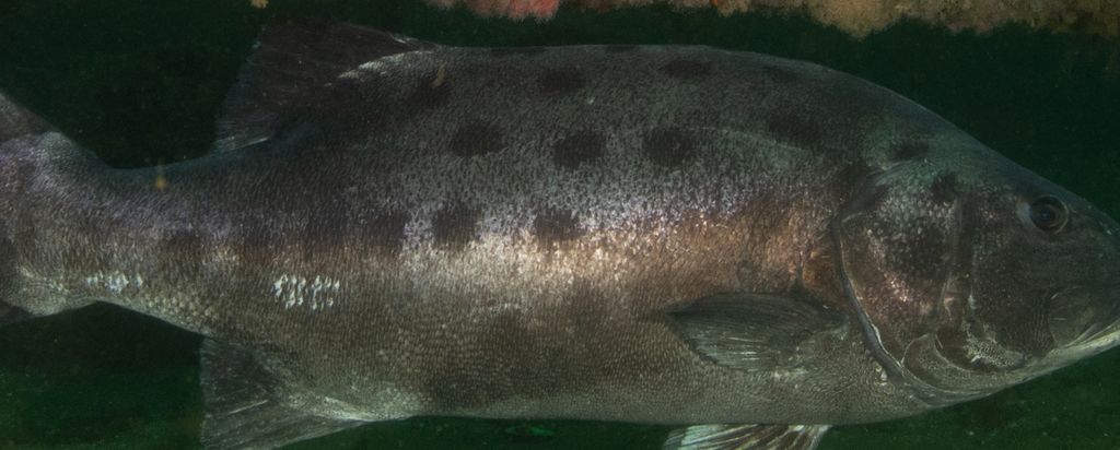 6d6b0a36-cff4-4ea7-ae21-bc78af9380b2