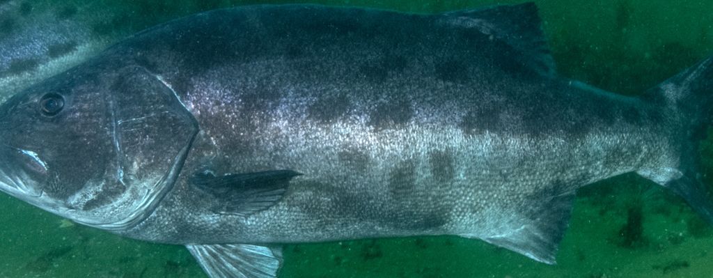 7a61e68d-8aff-4eb5-ac8b-42b98c0fb5d1