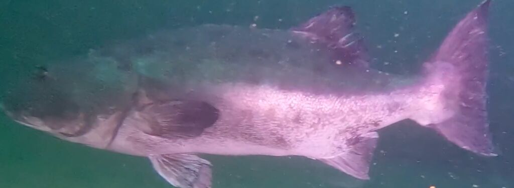 7d8c6c0d-1073-45e9-b1d0-417dae26e408