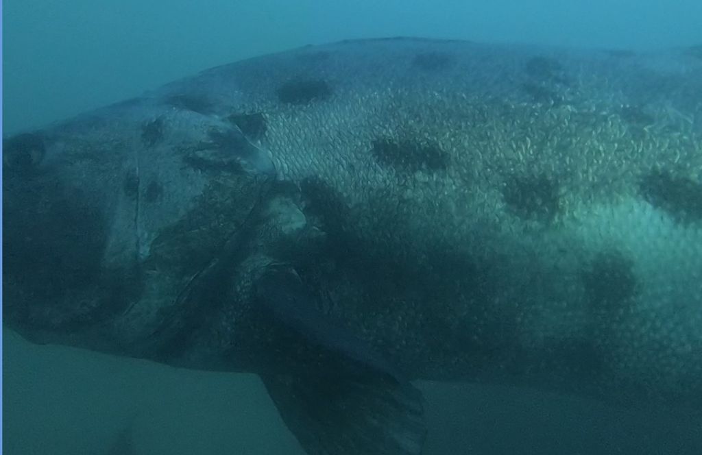 99e45ff6-86fc-4160-a5c4-2a06b92274ec