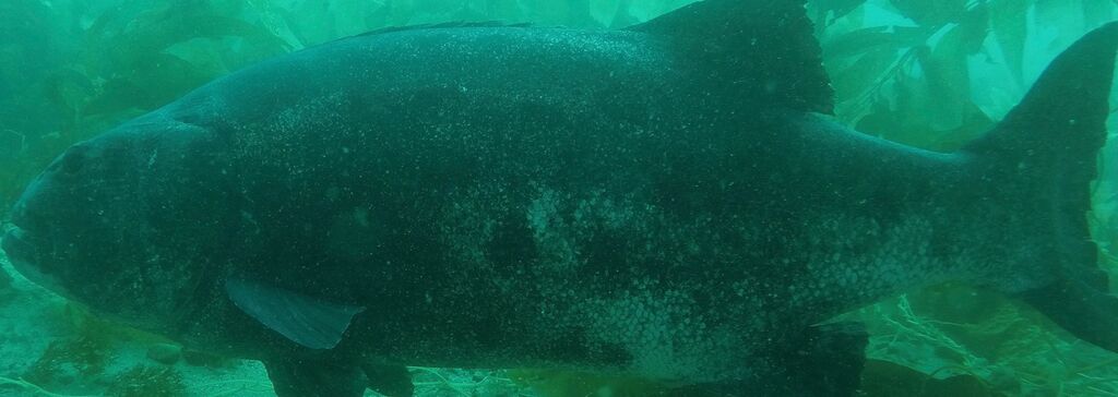 bbb9137f-efb3-4501-935c-8b699524b574