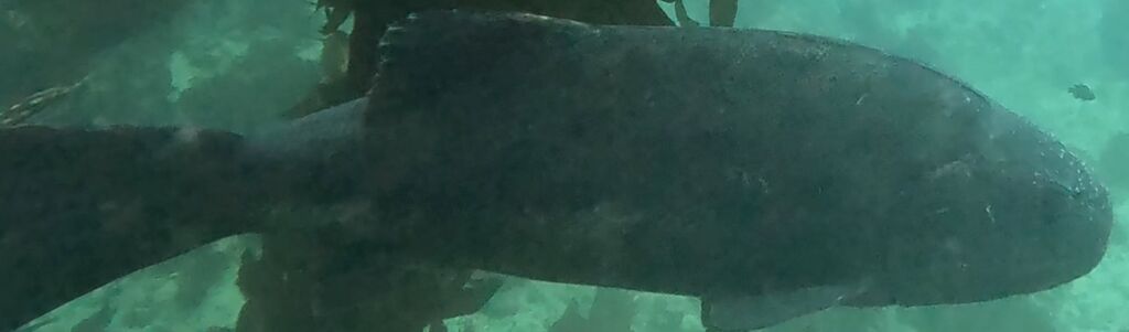 8ab395ed-bacd-4599-aad9-7bb4e2652e26