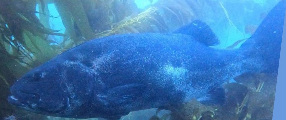 3bb923b8-da0d-46a5-b2c5-decb6210027b