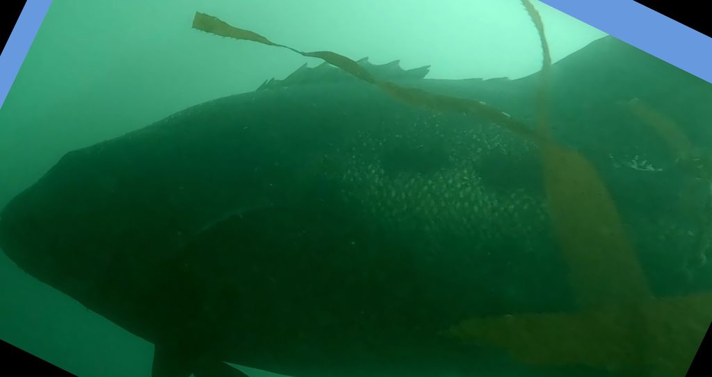 1c7c0629-db1e-41e0-addc-b020861a0ab0