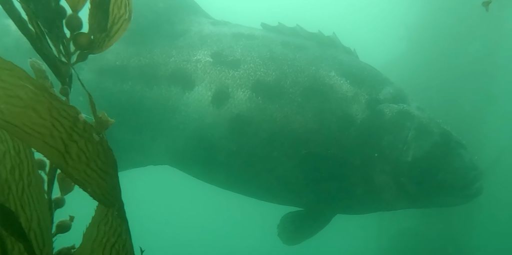 1c7c0629-db1e-41e0-addc-b020861a0ab0