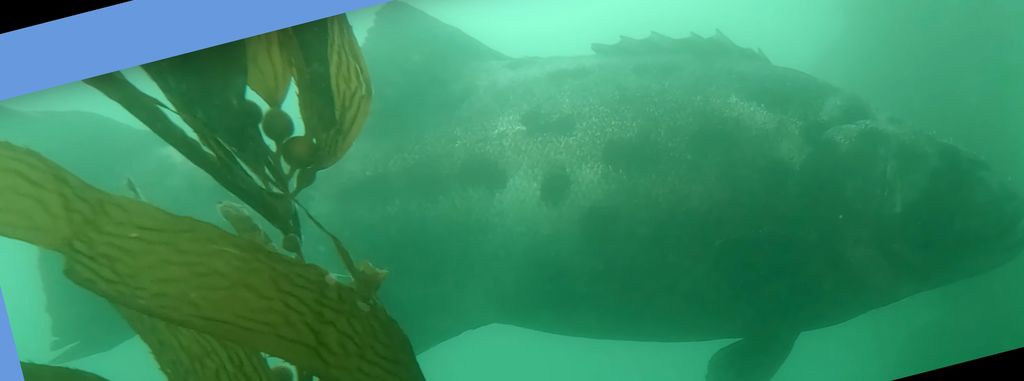 1c7c0629-db1e-41e0-addc-b020861a0ab0