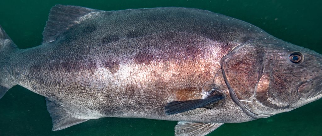 4f5368ea-1844-45f5-b23d-9688157356e9