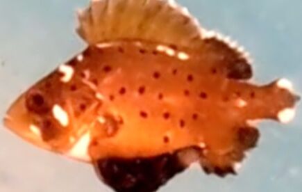 3c5ff052-1d5e-415e-8086-7588076e8c3b