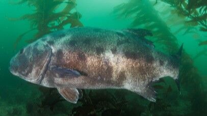 440b160b-d1a2-493a-9998-872383a72567