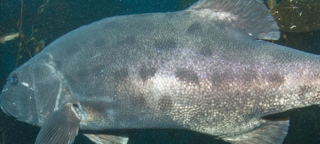 b6e95e0b-198d-4a8b-b3d8-257e2a90f187