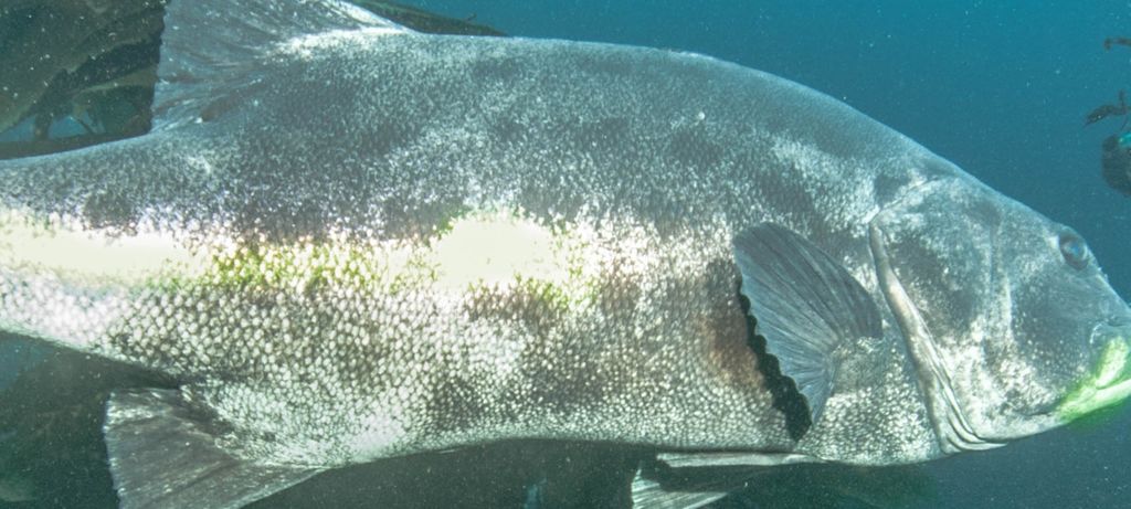 b6e95e0b-198d-4a8b-b3d8-257e2a90f187