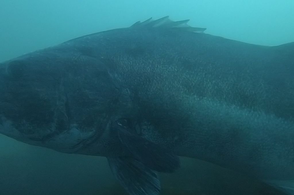 443e9ad7-373d-4c48-8e99-9cf95a6390b6