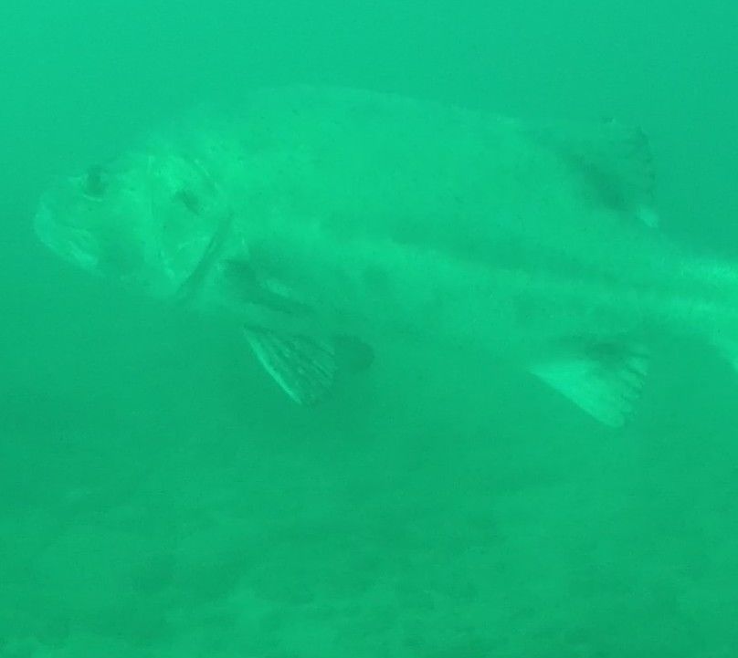 c99c59d8-dda0-4361-9e78-b36035b045c6