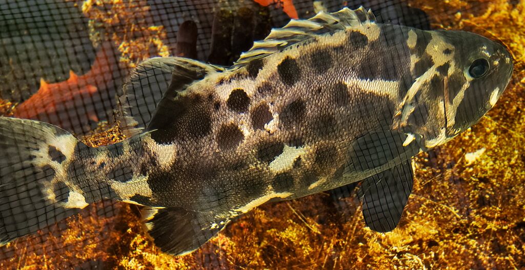 7845c3bc-d180-4334-89ab-abf5a0948ca2