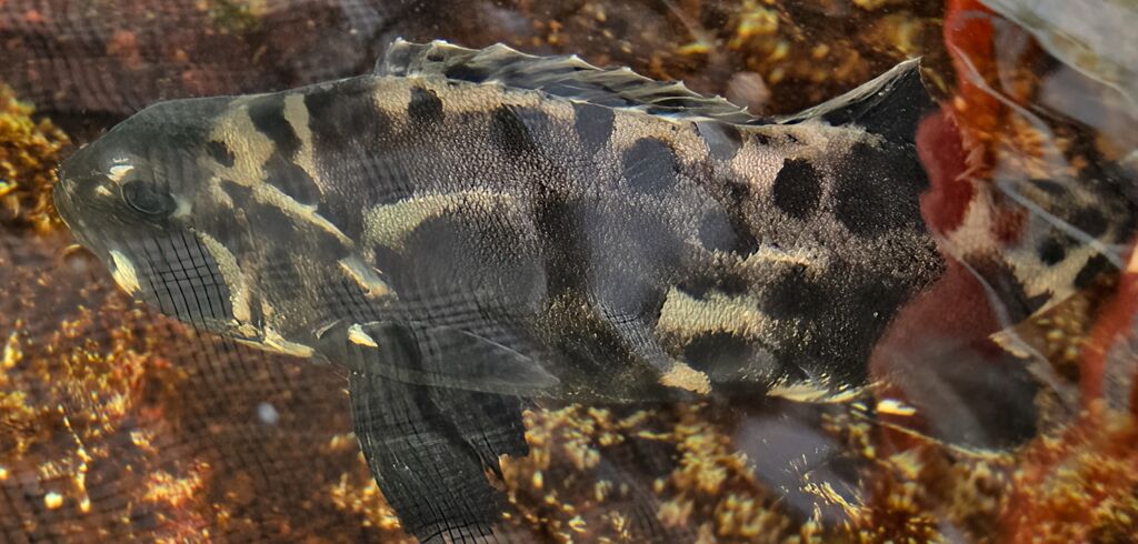 7845c3bc-d180-4334-89ab-abf5a0948ca2