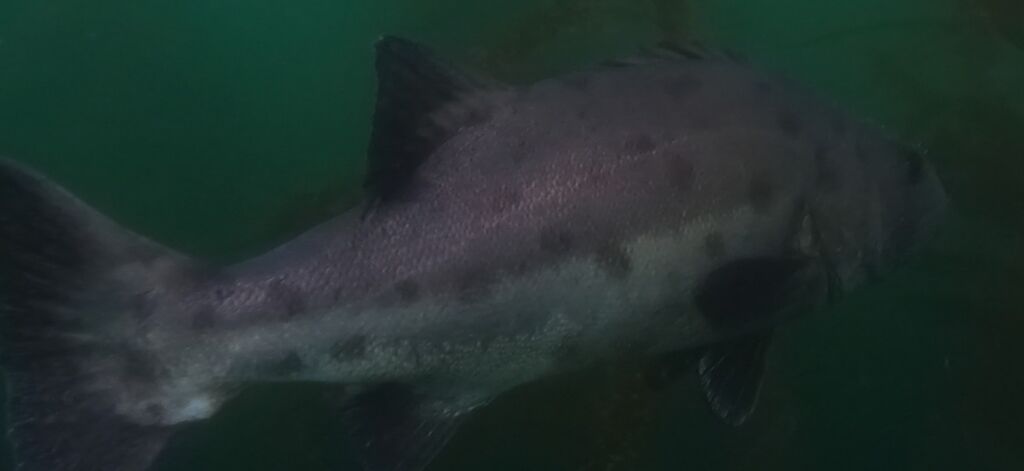 8adce337-66dd-45dd-8510-0a1b86f5c8d1