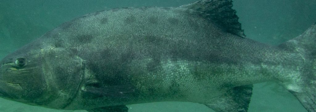 b042e3c3-5d3d-4cb7-ba64-3d8d9b54a1b0